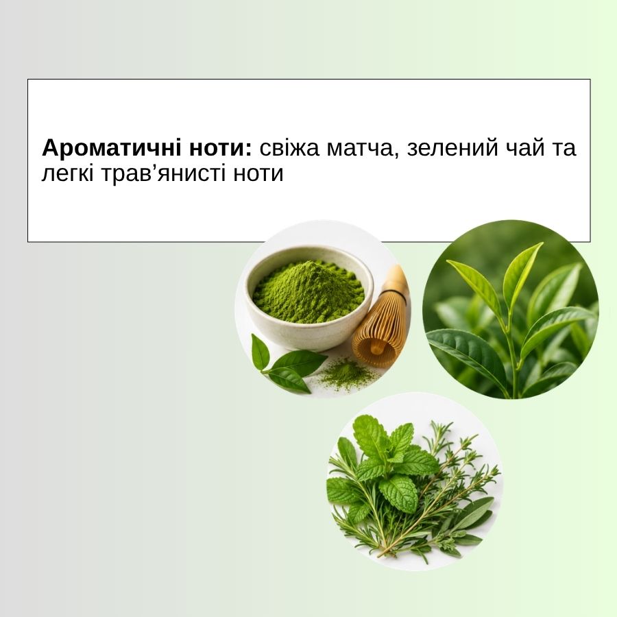 ÉLAN ELEMENTIX LAB: MATCHA + HYALURONIC ACID Body Serum 350 ml